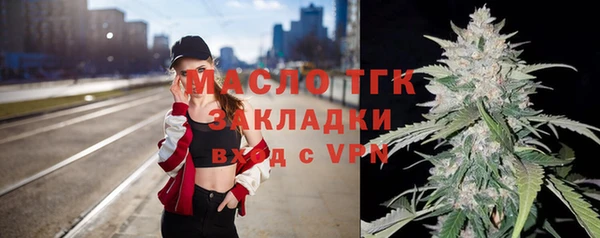 сатива Ростов