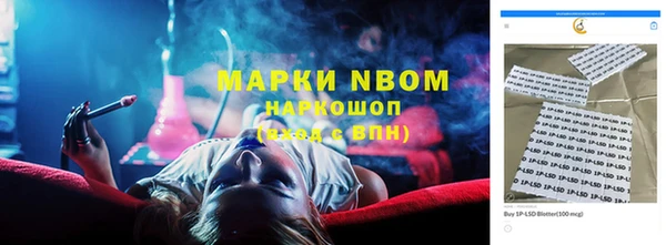 дмт Алзамай
