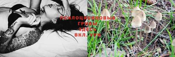 дмт Алзамай