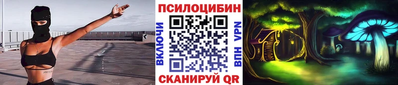 Галлюциногенные грибы Cubensis  где найти   Апшеронск 
